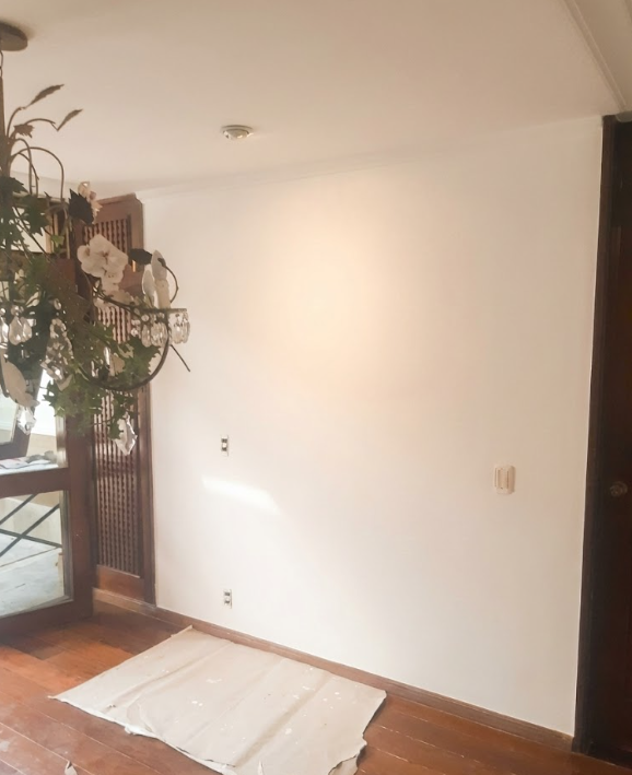 Pintura profissional de parede